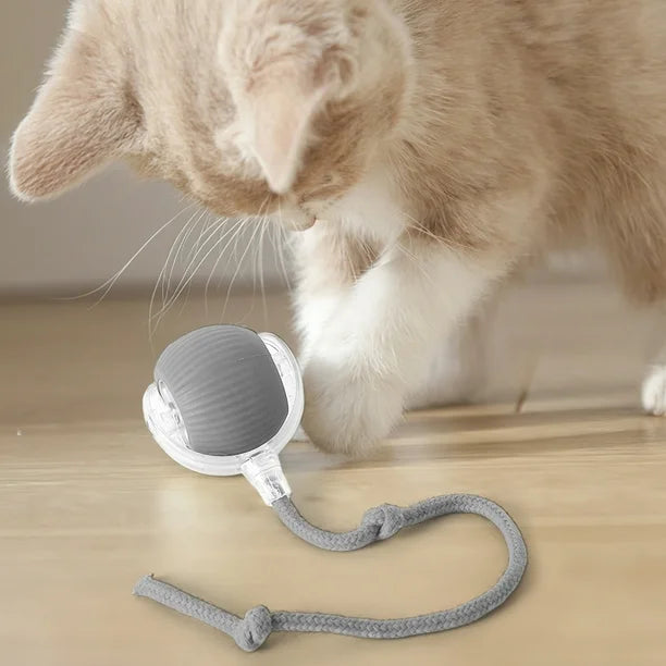 Pelota Interactiva Para Gatos Con Soga