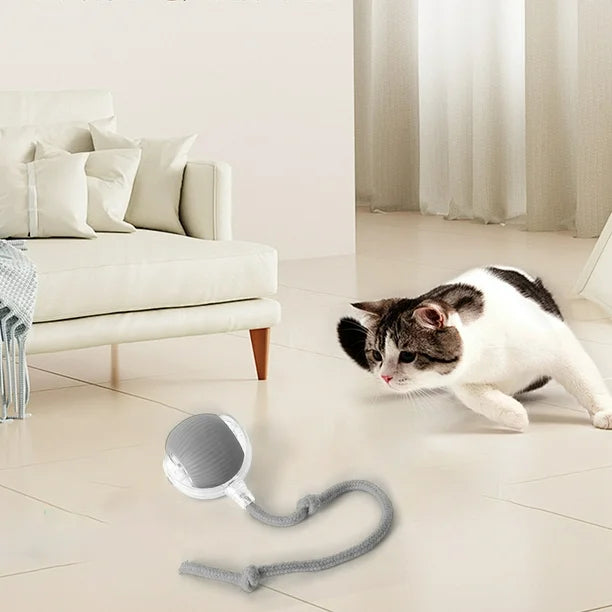 Pelota Interactiva Para Gatos Con Soga