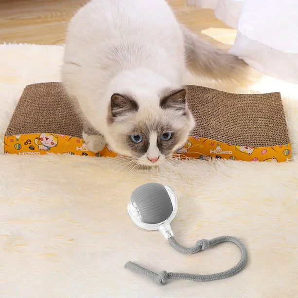 Pelota Interactiva Para Gatos Con Soga