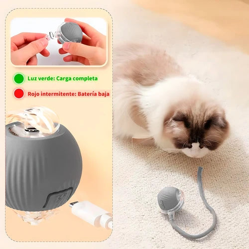 Pelota Interactiva Para Gatos Con Soga