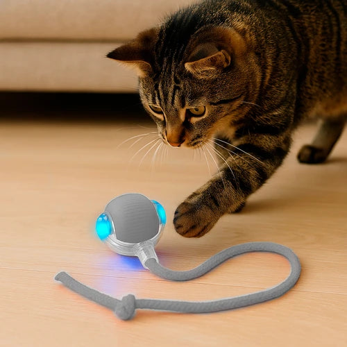 Pelota Interactiva Para Gatos Con Soga